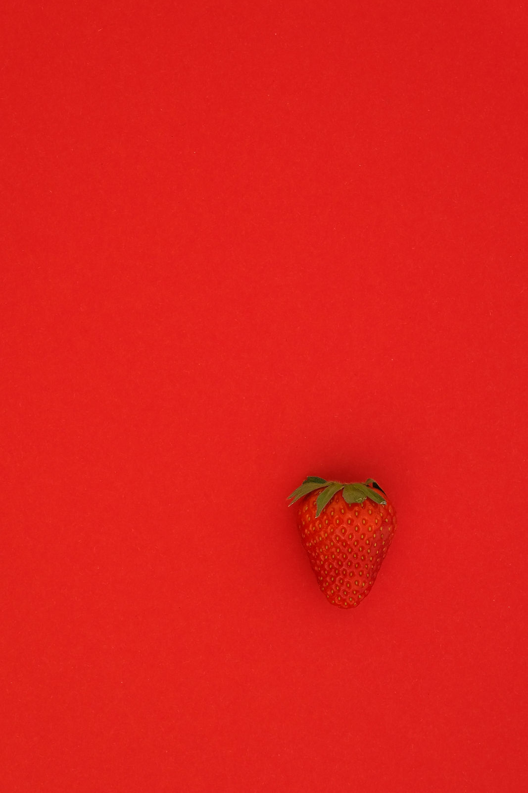 Image by Daniele Levis Pelusi